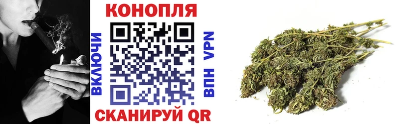 Канабис VHQ  Купить закладки  Лесной 